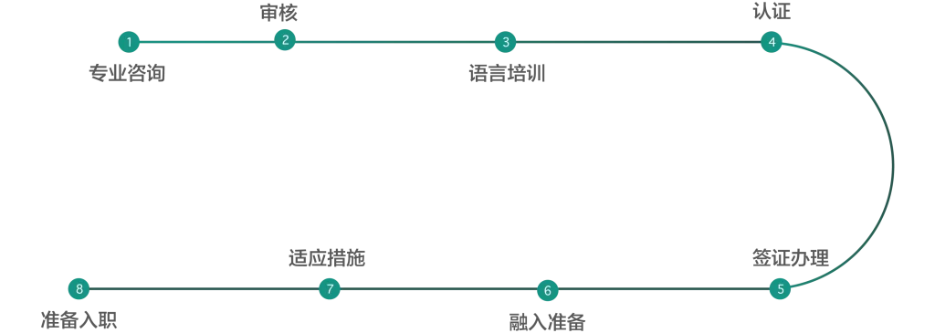 申请流程：专业咨询、审核、语言培训、认证、签证办理、融入准备、适应措施、准备入职。下方有各步骤说明。